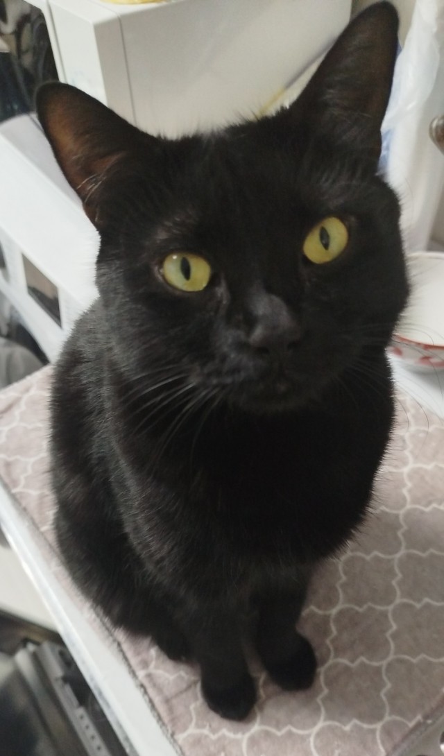 Минус один бродяга