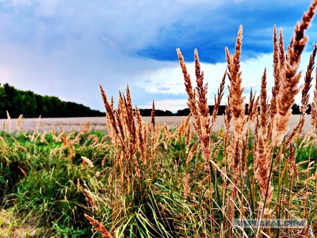 Подмосковье атакует циклон-невидимка: Лето сбежало, прихватив градусник!