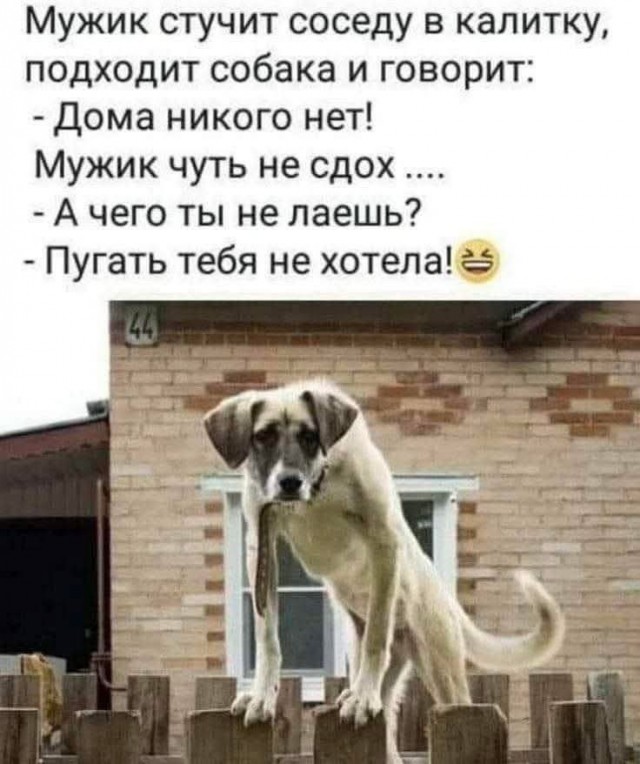 Так себе картинки 28.08.25