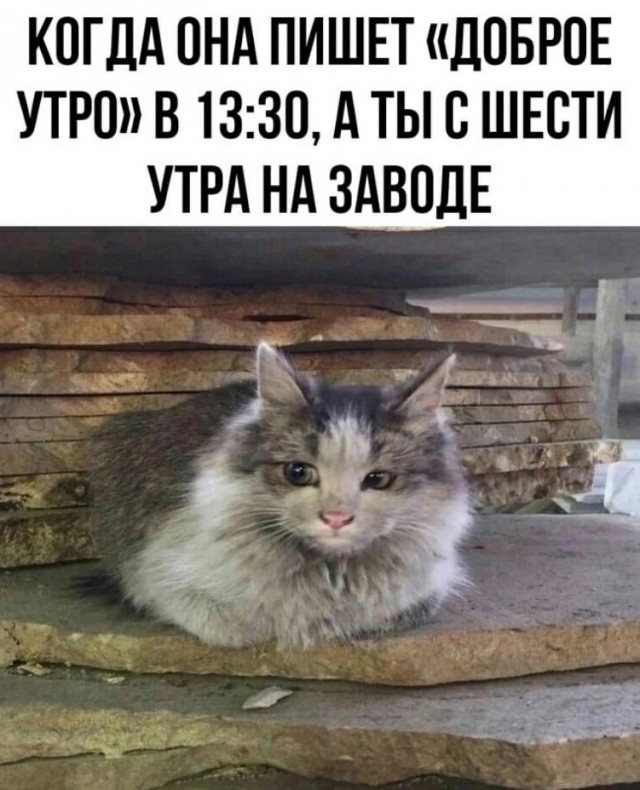 Не знаю зачем