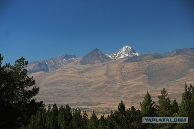 Пиздаж золотой осени
