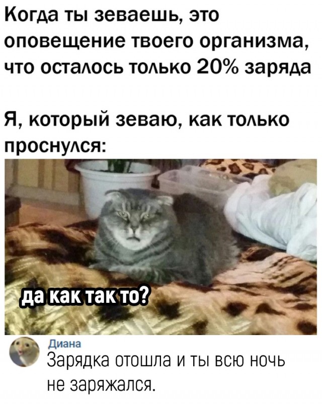 Еще только вторник …