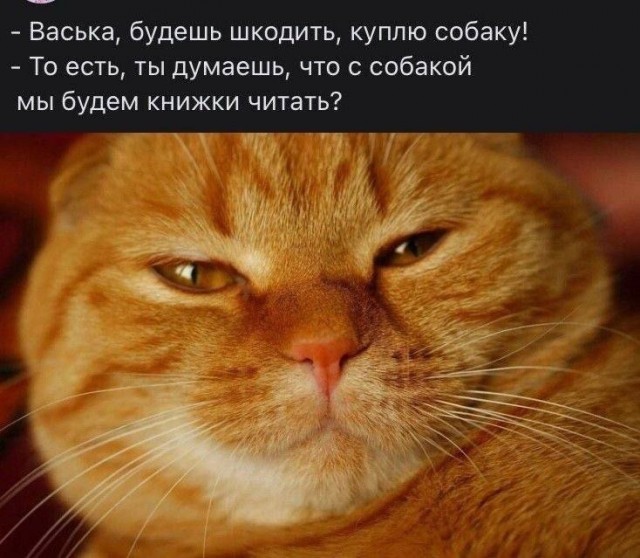 Среды картинки