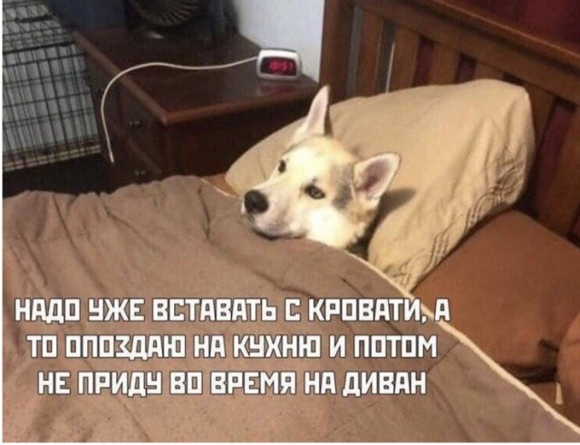 Картиночки, баянчики 08 января
