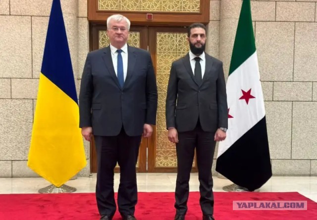 С террористами переговоров не ведём! Не ведём ведь, правда?...