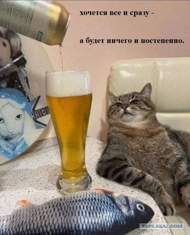 Идеальная женщина