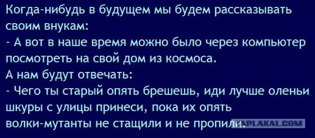 В России заблокировали Python