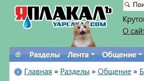 Я постарел или кота модернизировали?