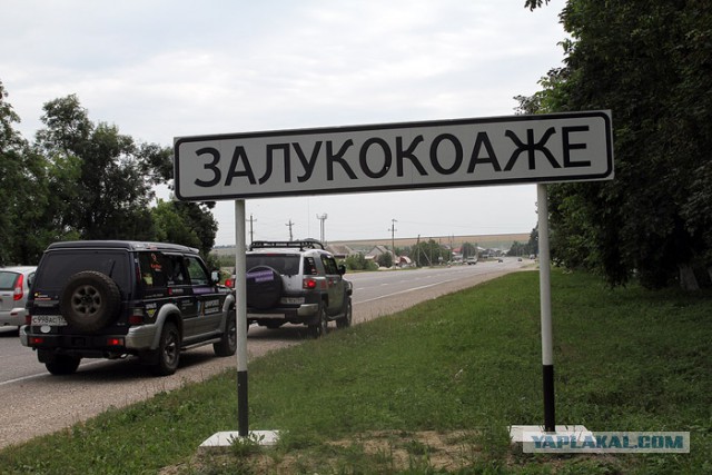 Маразмы года 2013