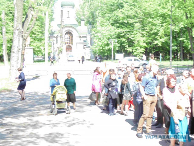 Подборка фото с референдума