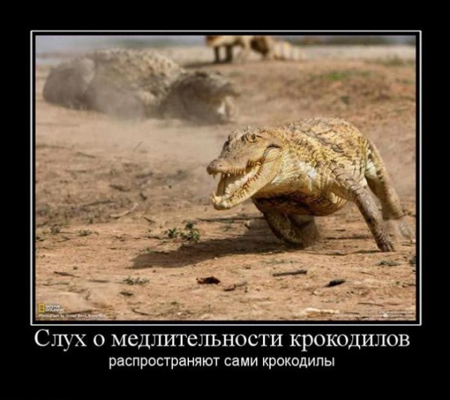Вы хотите "демов"? часть 2-я