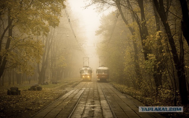 Пост обожания осени