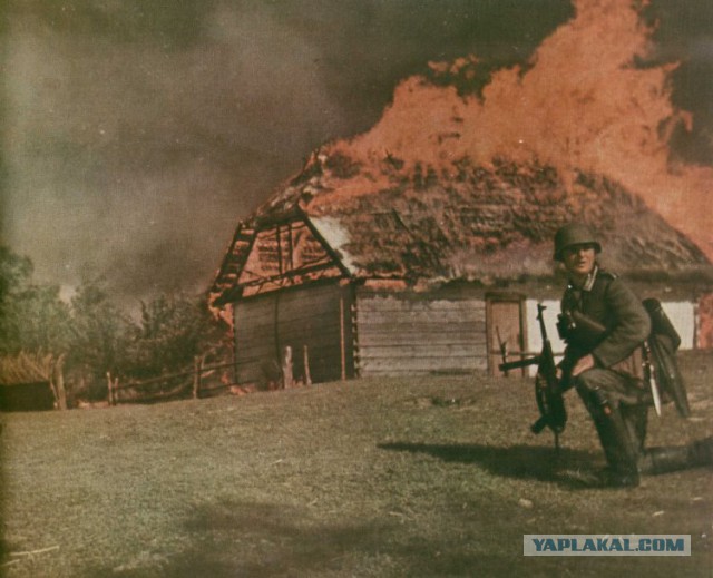 Куликово поле