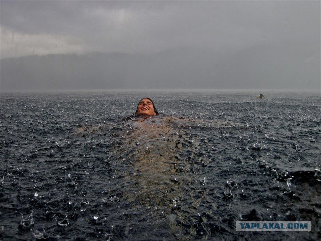 Картинки и приколы из сети