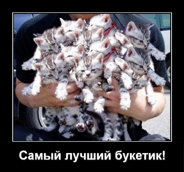 Картинки в черной рамке