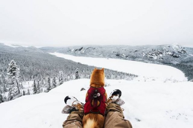 Винегрет фоток на среду..