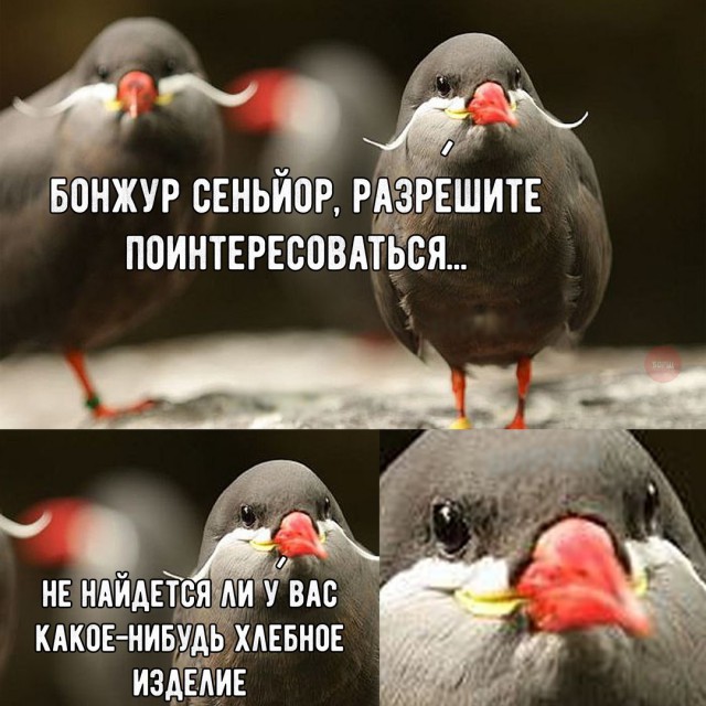 Временный пост. Всякое-разное