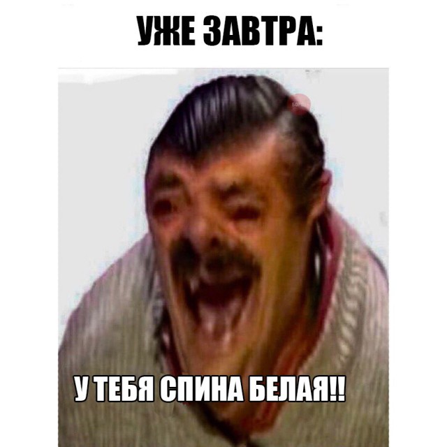 Прикольные картинки обо всём