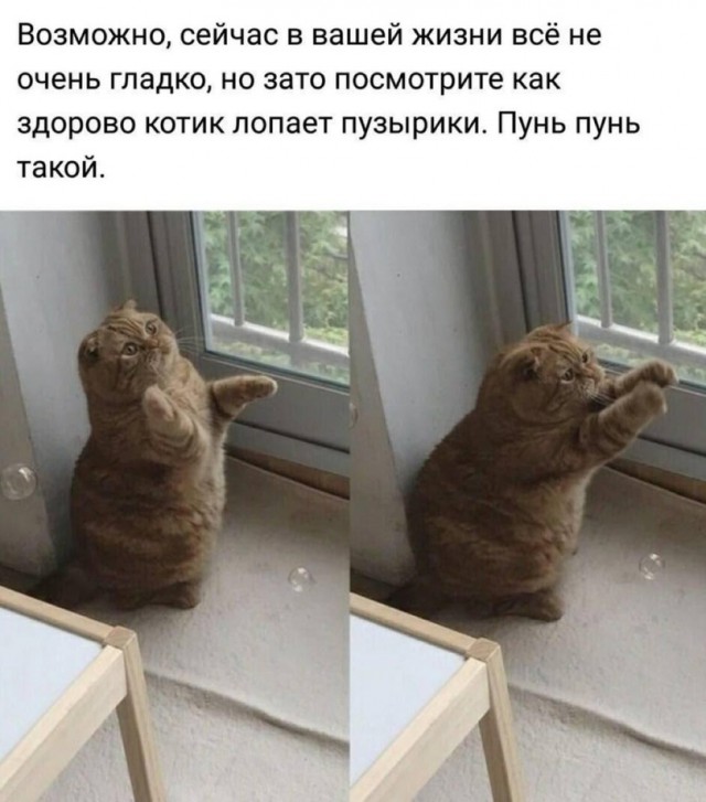 Подборка интересных и веселых картинок