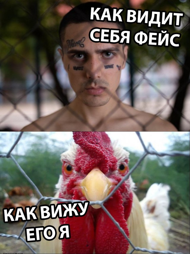 Нестандартный юмор