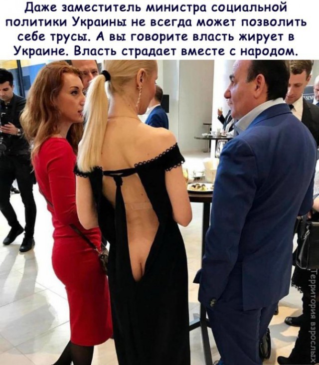 Лента прикольных картинок