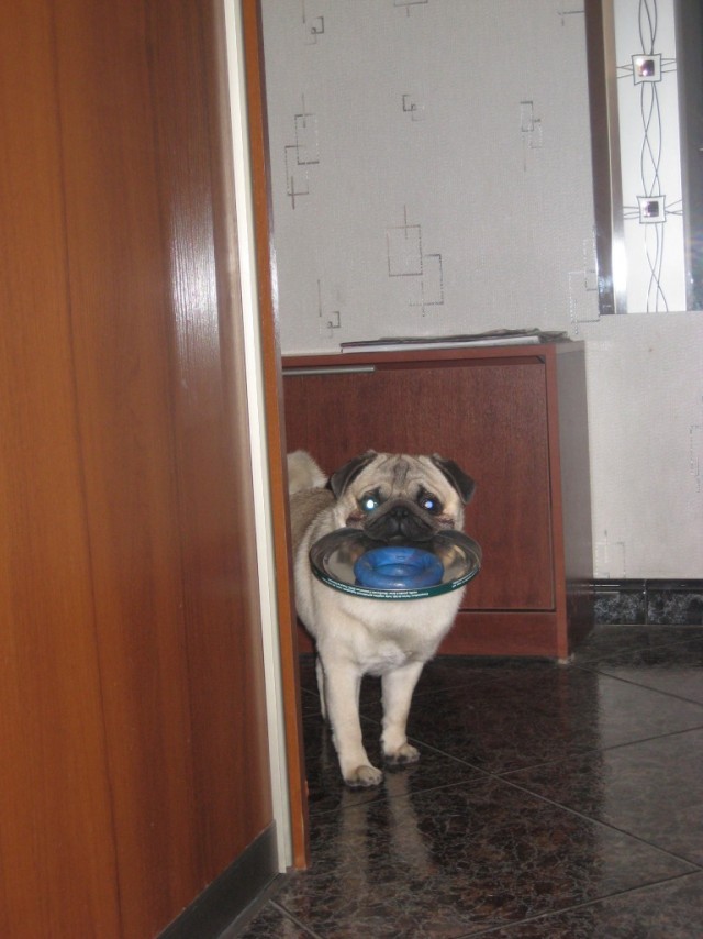 Друзья