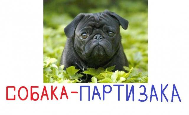 В большой семье ебл..м не щёлкают!