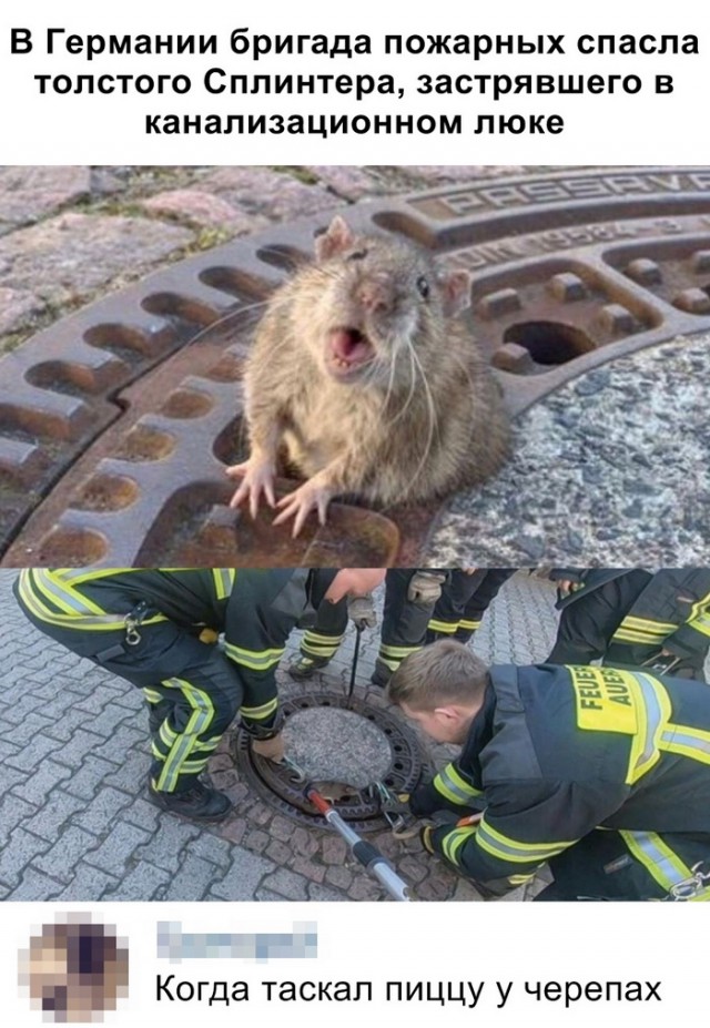 Бригада прикольные картинки с надписями