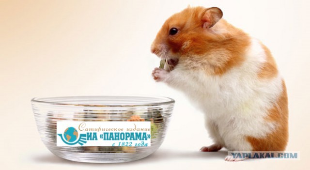 Китай отменит презумпцию невиновности для чиновников