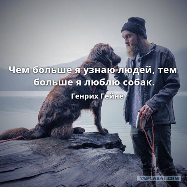 Ну поиграй со мной!