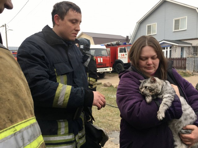 В Коврове пожарные откачали пострадавшего на пожаре кота Тайсона