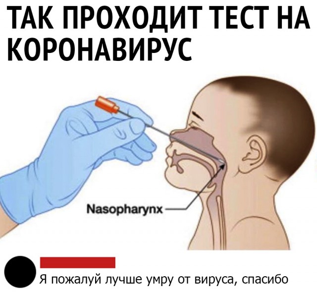 Картинки из рабочего чата