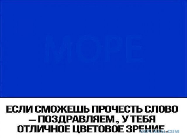 Немного картинок для настроения 06.05.20