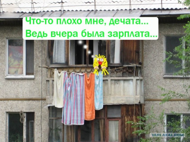 Конкурс: подпись к картинке