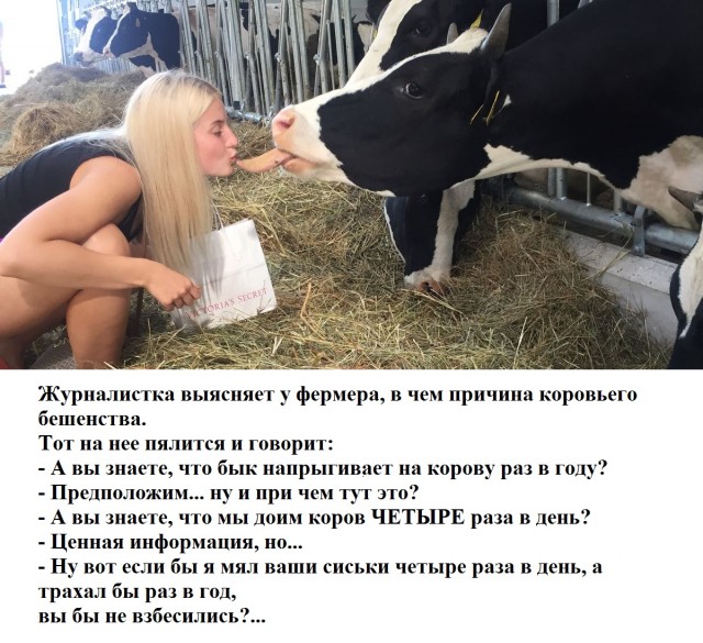 Пост картинок в понедельник 25.05. Всяких разных обо всём