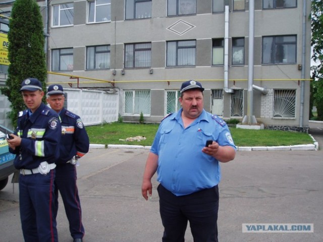 Фотожаба:На связи