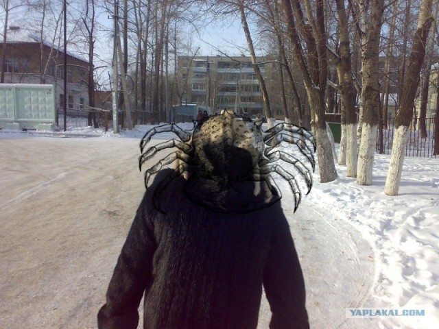 Хедкрабы в твоем городе!