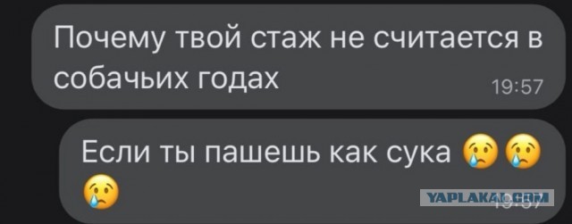 Картинки разнообразные. На злобу дня и на доброту (12.11)
