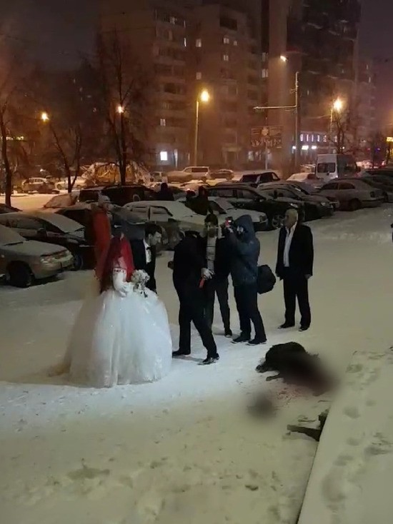 "Ах эта свадьба!": в сквере Челябинска на глазах у детей зарезали барана