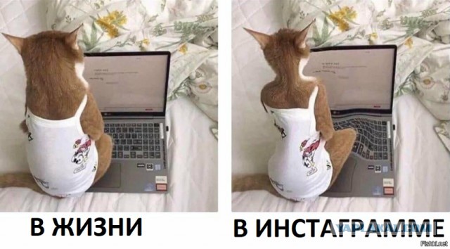 Моя красотка