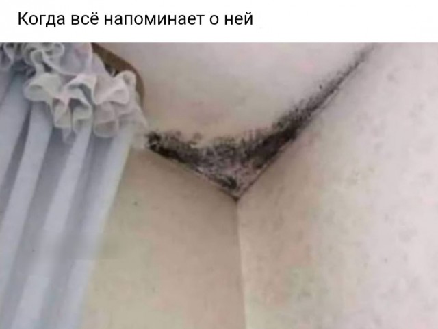 Бредзона 31.01.21