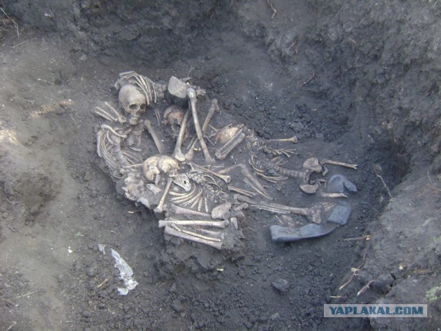 Питерский учёный считает, что «Холокоста в том объёме просто не было»