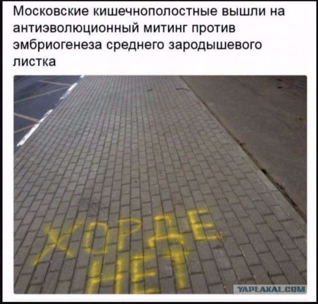 Отмена деградации. Околонаучные картинки