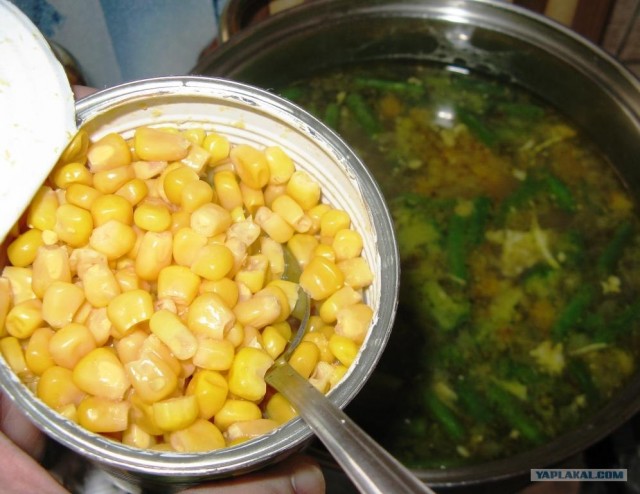 Куриный бульон для Чайников, Или «Кура-International»