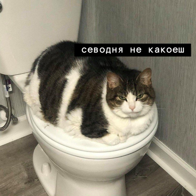 Так себе картинки 23.09.21