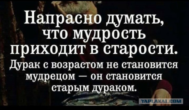 Сознательные россияне легко идентифицировали предателя и агента госдепа