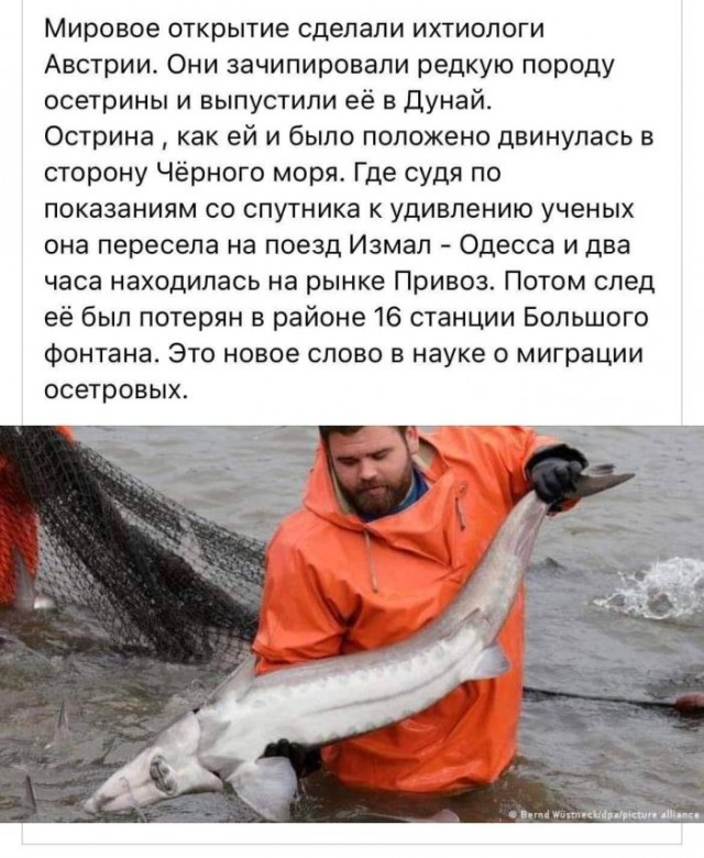 Мужик сказали мужик сделал - это два разных мужика