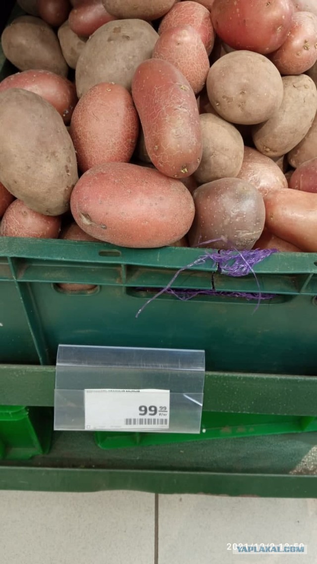 Повышая цены на продукты магазины иногда теряют связь с реальностью. Магазин "Магнит" - обычная селедка по 800 рублей за кг