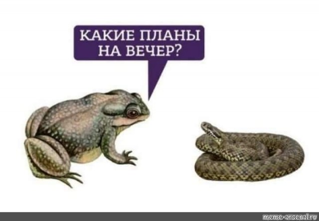 "Дольче vs Габбана": небольшой замес кавказцев в Екатеринбурге