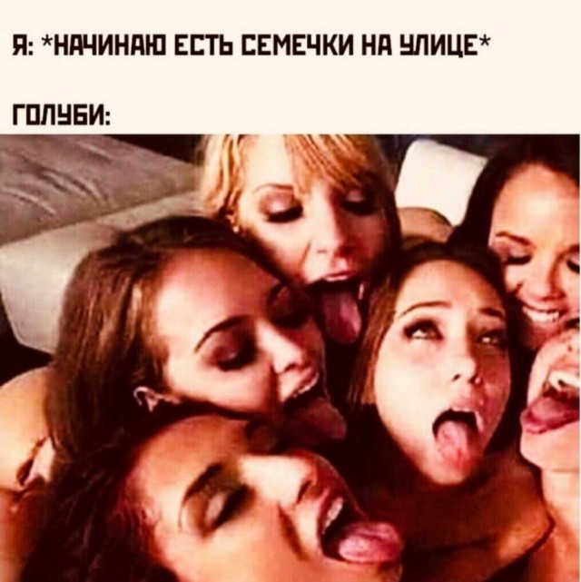 Немного пошлых картинок с надписями